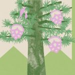 Yard Tree Giveaway 2025